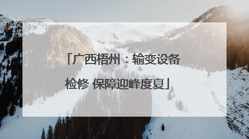 广西梧州：输变设备检修 保障迎峰度夏