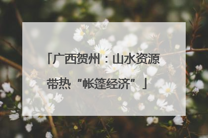 广西贺州：山水资源带热“帐篷经济”