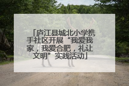 庐江县城北小学携手社区开展“我爱我家，我爱合肥，礼让文明”实践活动