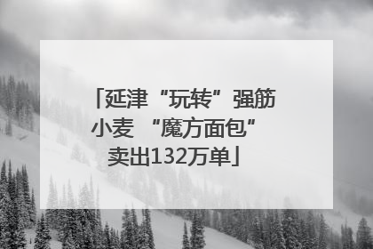 延津“玩转”强筋小麦 “魔方面包”卖出132万单