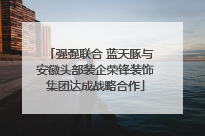 强强联合 蓝天豚与安徽头部装企荣锋装饰集团达成战略合作