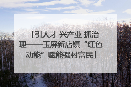 引人才 兴产业 抓治理——玉屏新店镇“红色动能”赋能强村富民