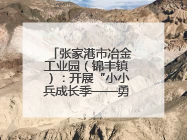 张家港市冶金工业园（锦丰镇）：开展“小小兵成长季——勇敢挑战营”国防启蒙教育活动