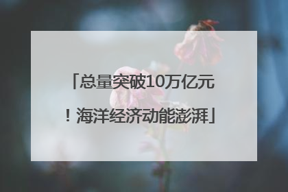 总量突破10万亿元！海洋经济动能澎湃
