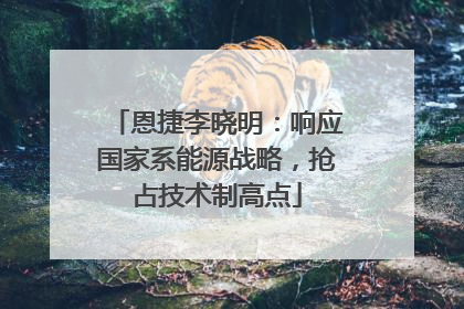 恩捷李晓明：响应国家系能源战略，抢占技术制高点