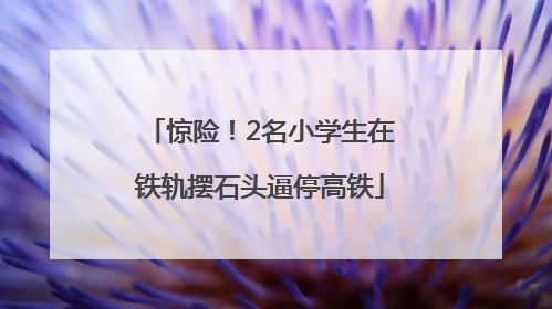 惊险！2名小学生在铁轨摆石头逼停高铁