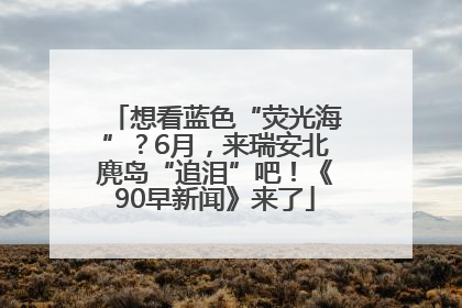 想看蓝色“荧光海”？6月，来瑞安北麂岛“追泪”吧！《90早新闻》来了