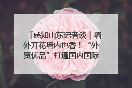 感知山东记者谈｜墙外开花墙内也香！“外贸优品”打通国内国际市场“旋转门”