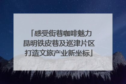 感受街巷咖啡魅力 昆明铁皮巷及巡津片区打造文旅产业新坐标
