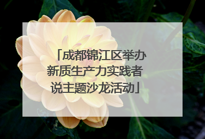 成都锦江区举办新质生产力实践者说主题沙龙活动