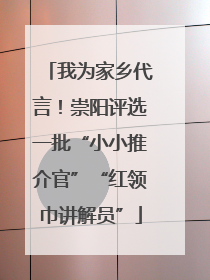 我为家乡代言！崇阳评选一批“小小推介官”“红领巾讲解员”