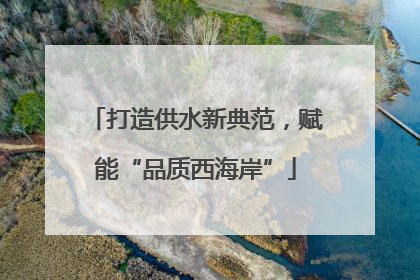 打造供水新典范，赋能“品质西海岸”