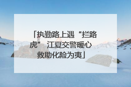 执勤路上遇“拦路虎” 江夏交警暖心救助化险为夷