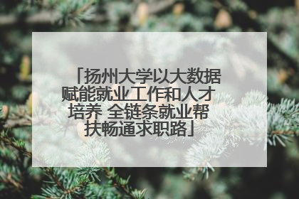 扬州大学以大数据赋能就业工作和人才培养 全链条就业帮扶畅通求职路