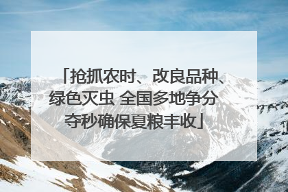 抢抓农时、改良品种、绿色灭虫 全国多地争分夺秒确保夏粮丰收