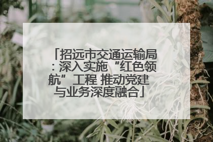 招远市交通运输局：深入实施“红色领航”工程 推动党建与业务深度融合