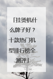 挂烫机什么牌子好？十款热门机型排行榜全测评