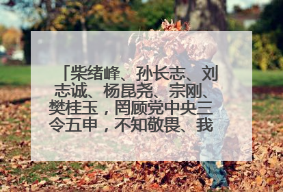柴绪峰、孙长志、刘志诚、杨昆尧、宗刚、樊桂玉，罔顾党中央三令五申，不知敬畏、我行我素、肆意妄为！