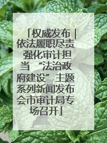 权威发布｜依法履职尽责 强化审计担当 “法治政府建设”主题系列新闻发布会市审计局专场召开