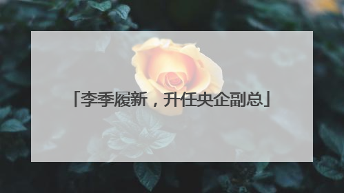 李季履新，升任央企副总