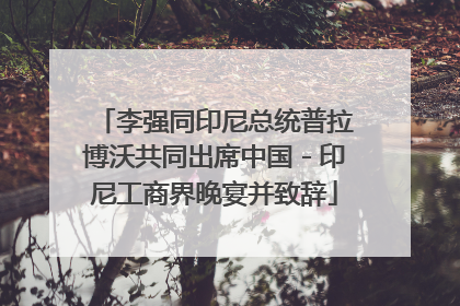 李强同印尼总统普拉博沃共同出席中国－印尼工商界晚宴并致辞