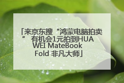 来京东搜“鸿蒙电脑拍卖” 有机会1元拍到HUAWEI MateBook Fold 非凡大师