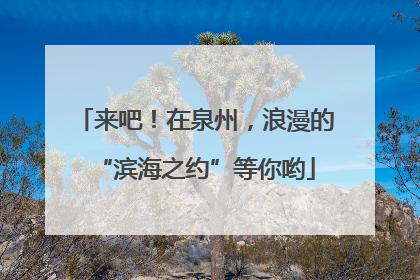 来吧！在泉州，浪漫的“滨海之约”等你哟