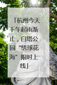 杭州今天下午起雨渐止，白塔公园“绣球花海”限时上线