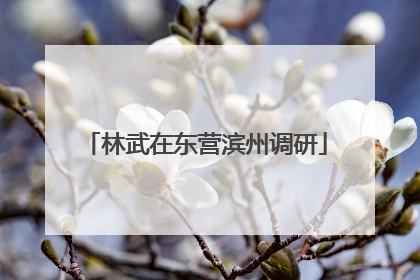 林武在东营滨州调研