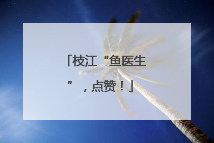 枝江“鱼医生”，点赞！