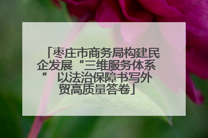 枣庄市商务局构建民企发展“三维服务体系” 以法治保障书写外贸高质量答卷
