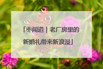 枣闻道｜老厂房里的新婚礼带来新浪漫
