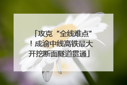 攻克“全线难点”！成渝中线高铁最大开挖断面隧道贯通