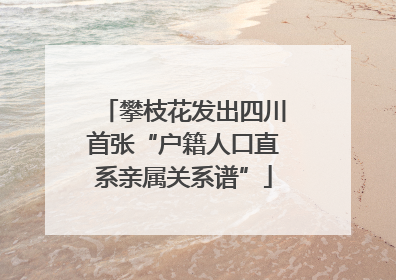 攀枝花发出四川首张“户籍人口直系亲属关系谱”