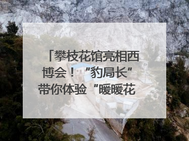攀枝花馆亮相西博会！“豹局长”带你体验“暖暖花城”独特魅力｜西博视界