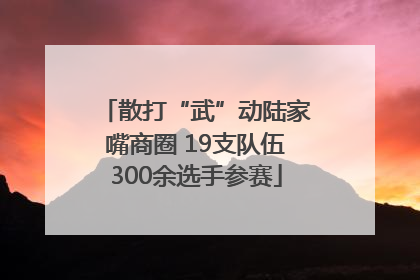散打“武”动陆家嘴商圈 19支队伍300余选手参赛