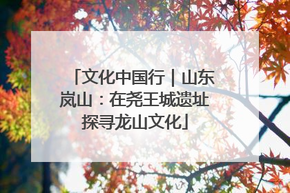 文化中国行｜山东岚山：在尧王城遗址探寻龙山文化