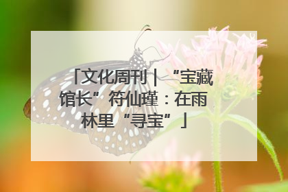 文化周刊｜“宝藏馆长”符仙瑾：在雨林里“寻宝”