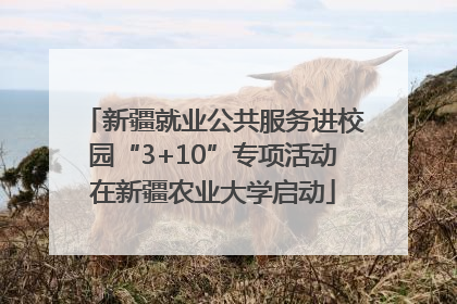 新疆就业公共服务进校园“3+10”专项活动在新疆农业大学启动