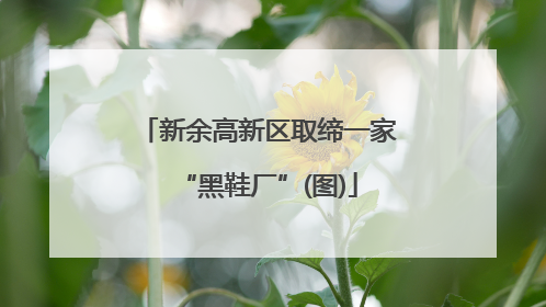 新余高新区取缔一家“黑鞋厂”(图)