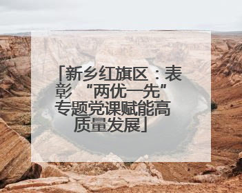 新乡红旗区：表彰 “两优一先” 专题党课赋能高质量发展