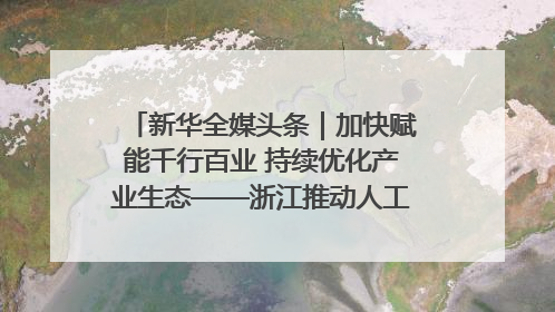 新华全媒头条｜加快赋能千行百业 持续优化产业生态——浙江推动人工智能健康有序发展观察