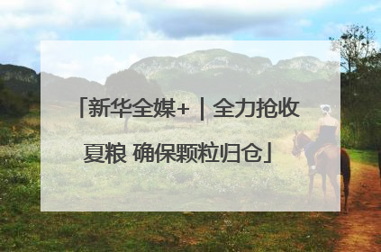 新华全媒+｜全力抢收夏粮 确保颗粒归仓