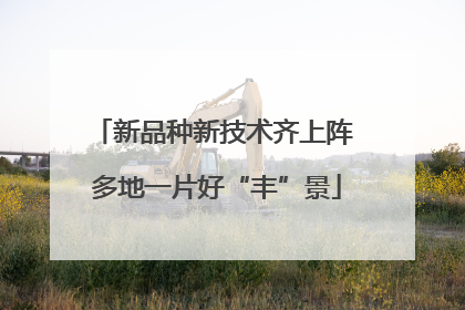 新品种新技术齐上阵 多地一片好“丰”景