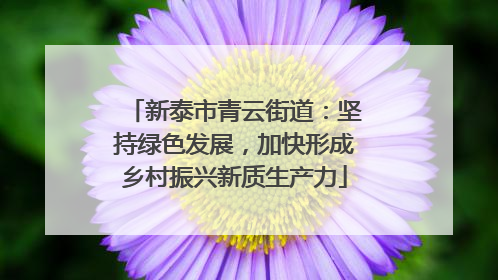 新泰市青云街道：坚持绿色发展，加快形成乡村振兴新质生产力