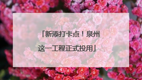 新添打卡点！泉州这一工程正式投用