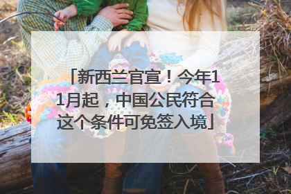 新西兰官宣！今年11月起，中国公民符合这个条件可免签入境