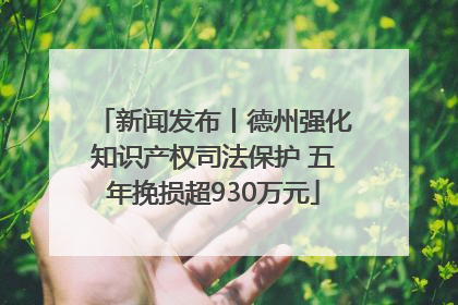 新闻发布丨德州强化知识产权司法保护 五年挽损超930万元