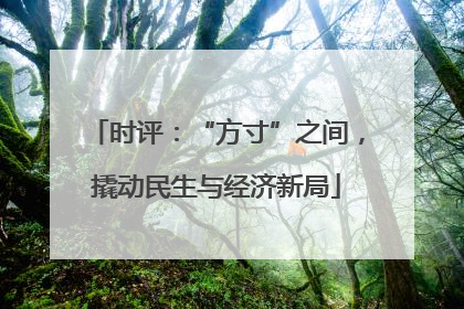 时评：“方寸”之间，撬动民生与经济新局
