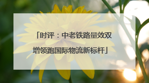 时评：中老铁路量效双增领跑国际物流新标杆